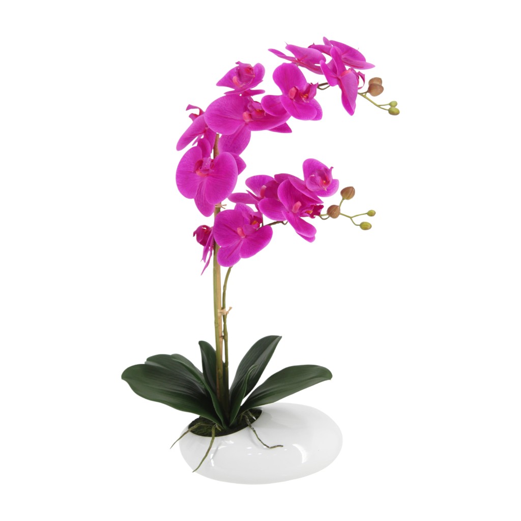 Orquídea Púrpura En Maceta 52Cm