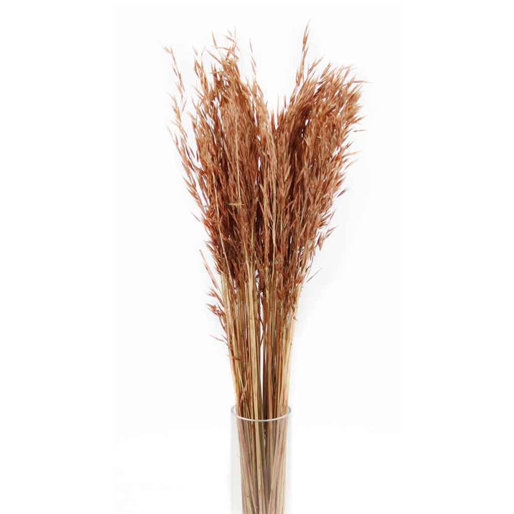 Ramo De Avena Marron 100gr