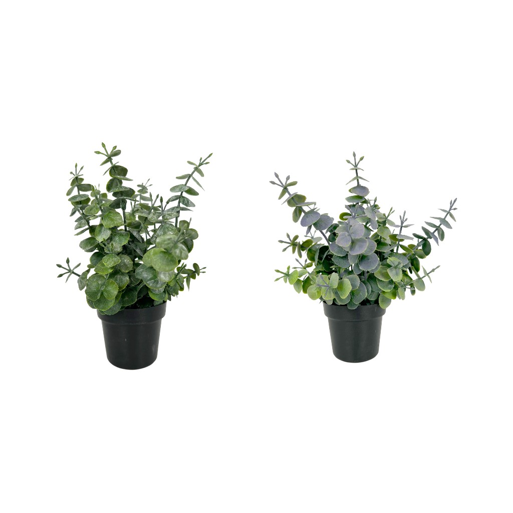 Eucalipto En Pote Artificial Surtidos 20cm