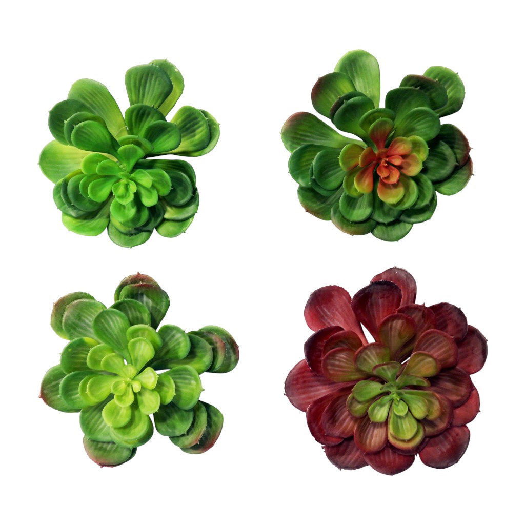 Planta Decorativa 20cm Surtida