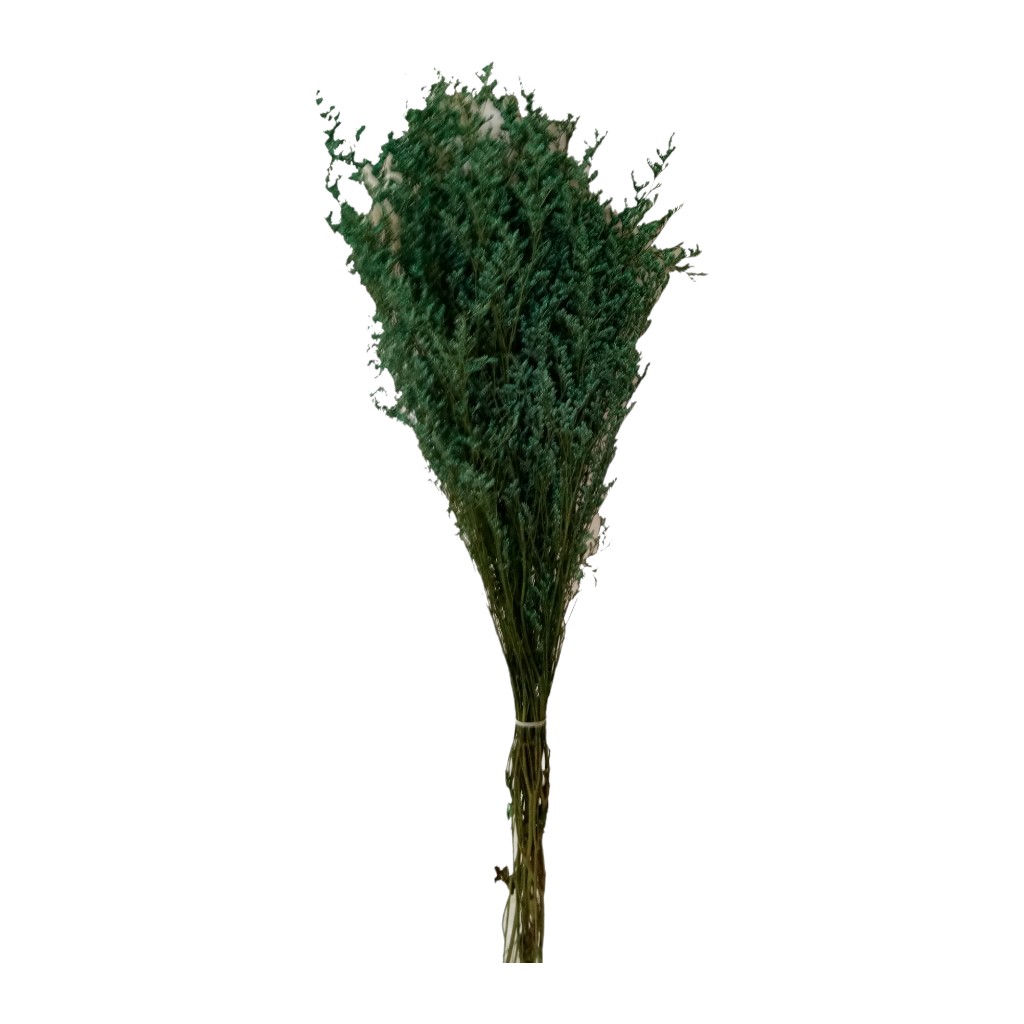 Ramo De Statice Ruso Verde 100Gr 75Cm