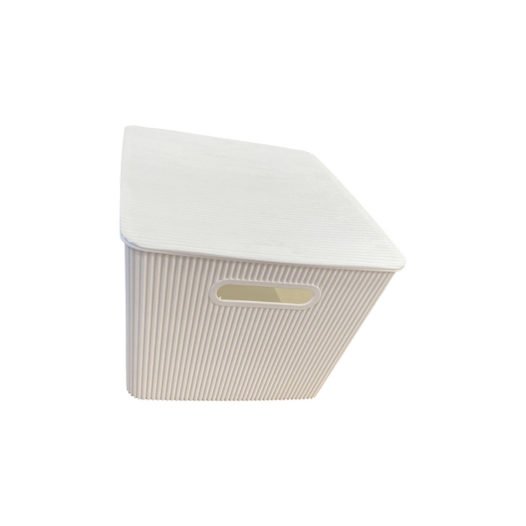 Caja Organizadora Blanco 36X30X22Cm