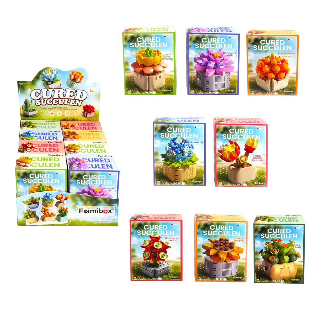 Bloques De Suculentas Surtidos