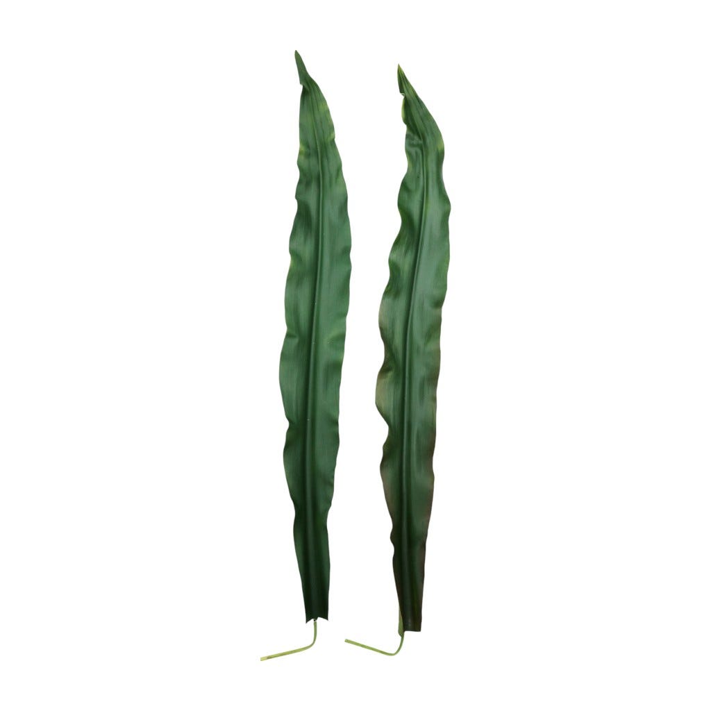 Hoja Artificial De Asplenium Nidus 113cm