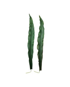 Hoja Artificial De Asplenium Nidus 113cm