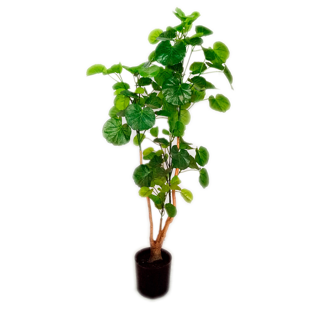 Planta Artificial Aralia Fabian