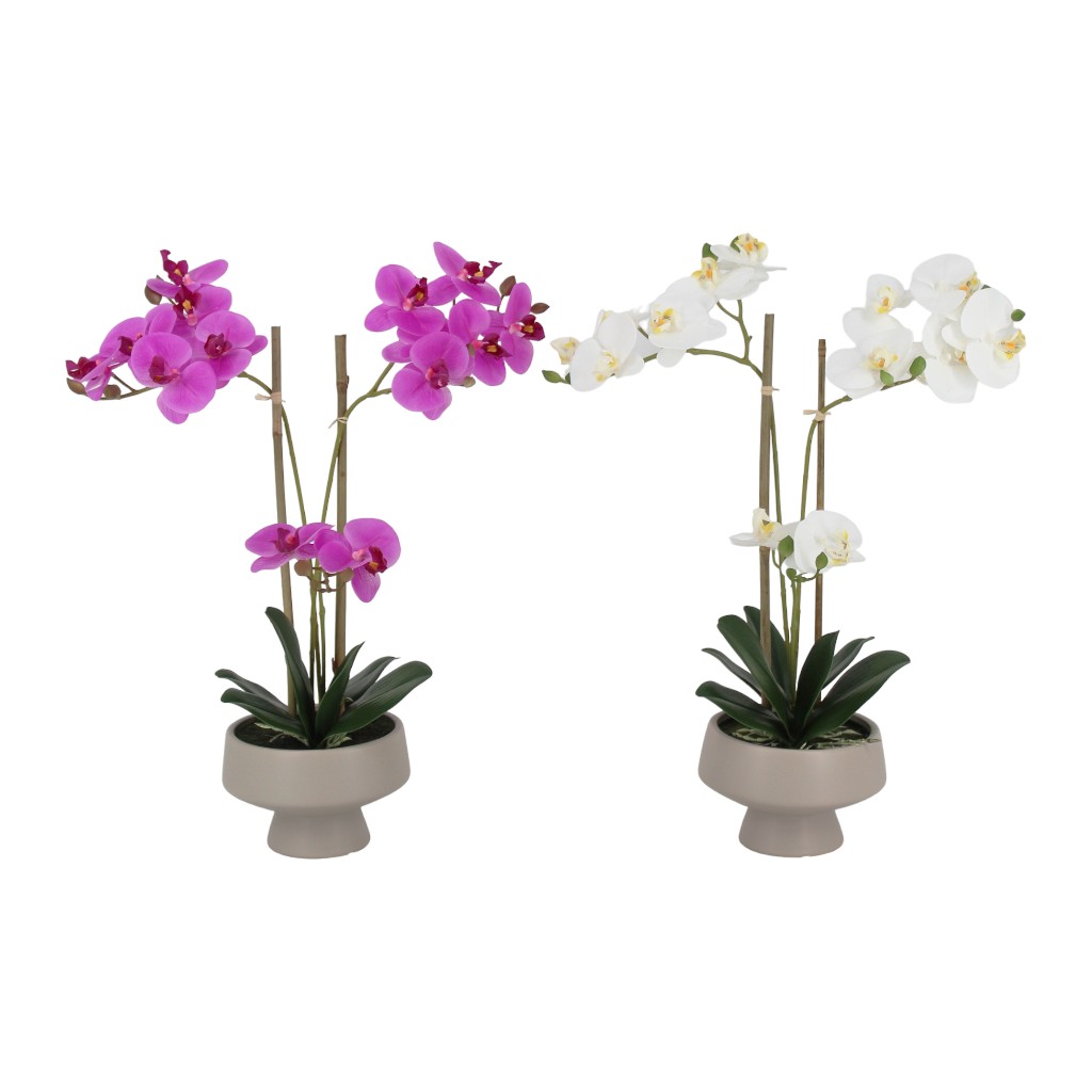 Orquideas En Pote-rt 51cm Surtida