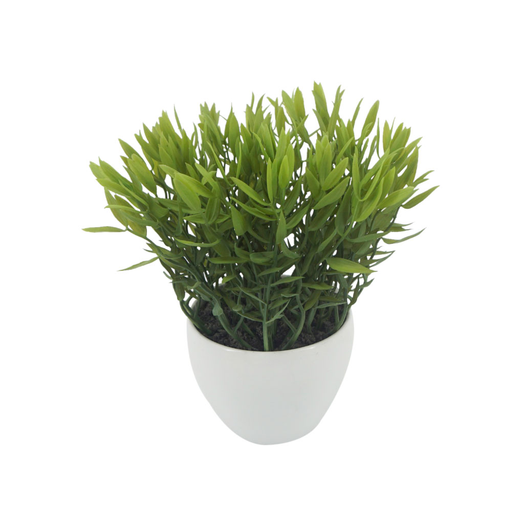 Dúo de plantas artificial de Sedum en maceta con diseño variados