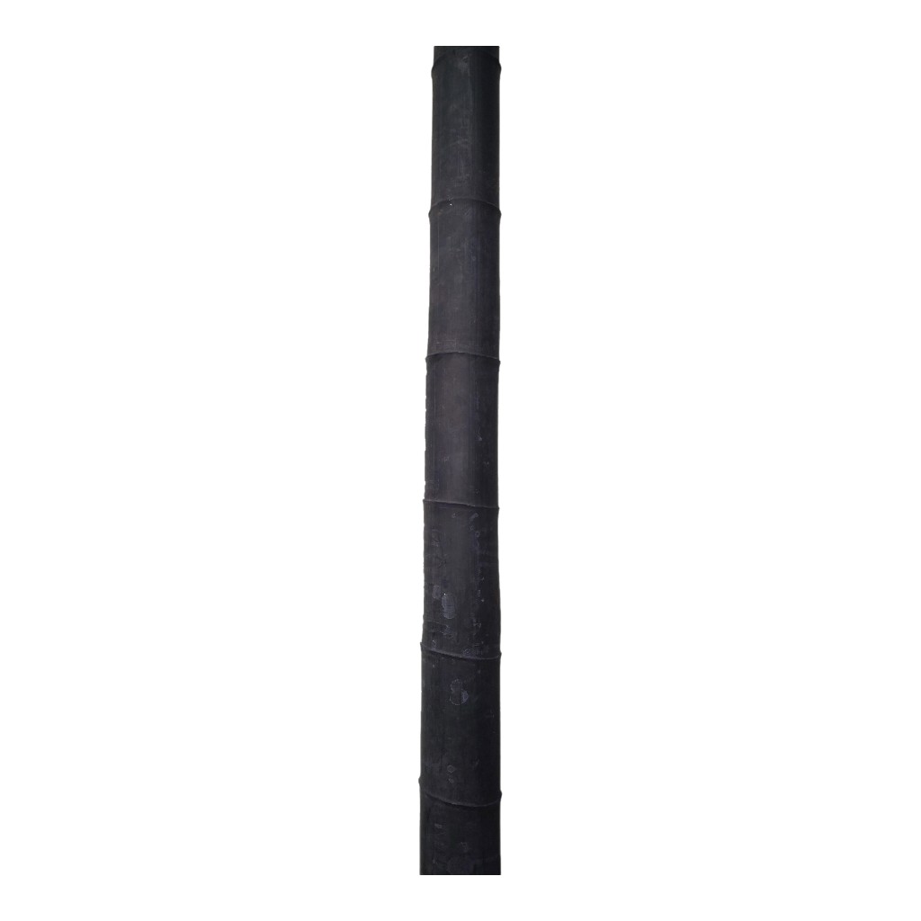 Estaca De Bambú Negro