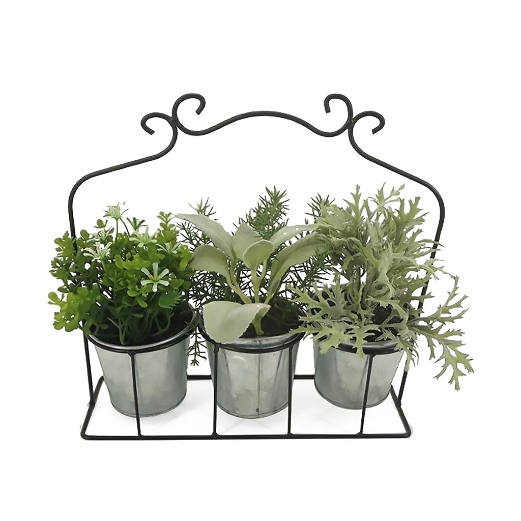 Juego de 3 Bonsai en macetas de plástico