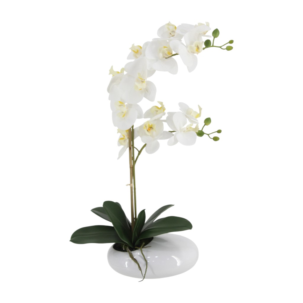 Orquídea Blanca En Pote 52Cm