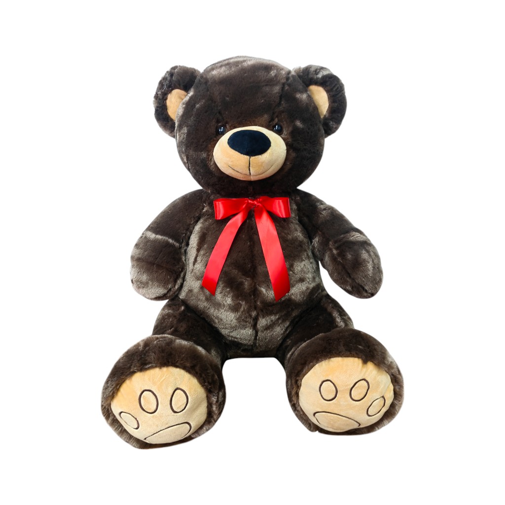 Oso De Peluche 60Cm