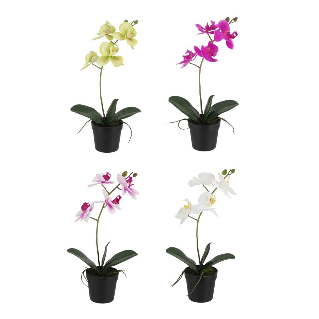 Orquídeas En Pote Colores Surtidos 39Cm