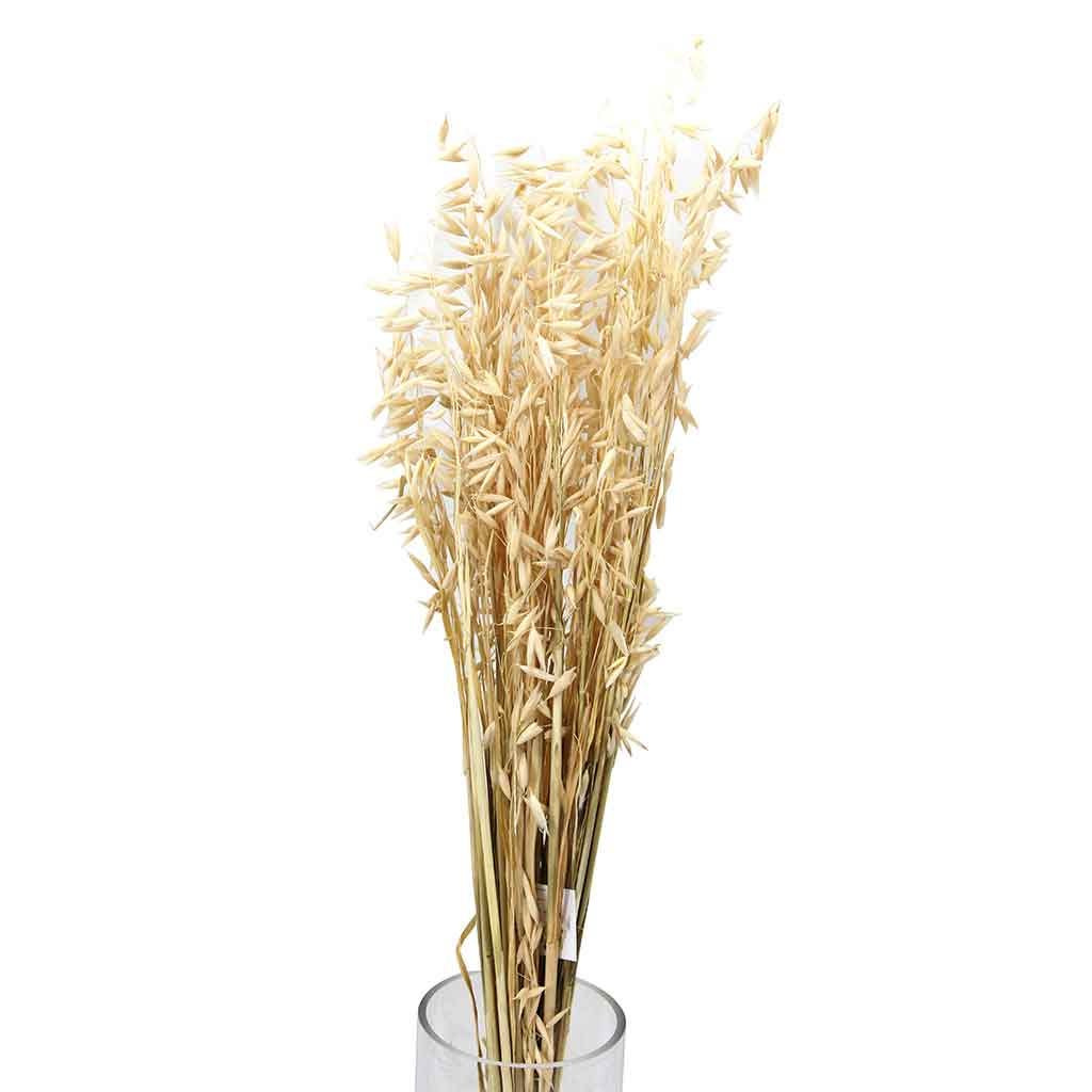 Ramo De Avena Blanco 75cm