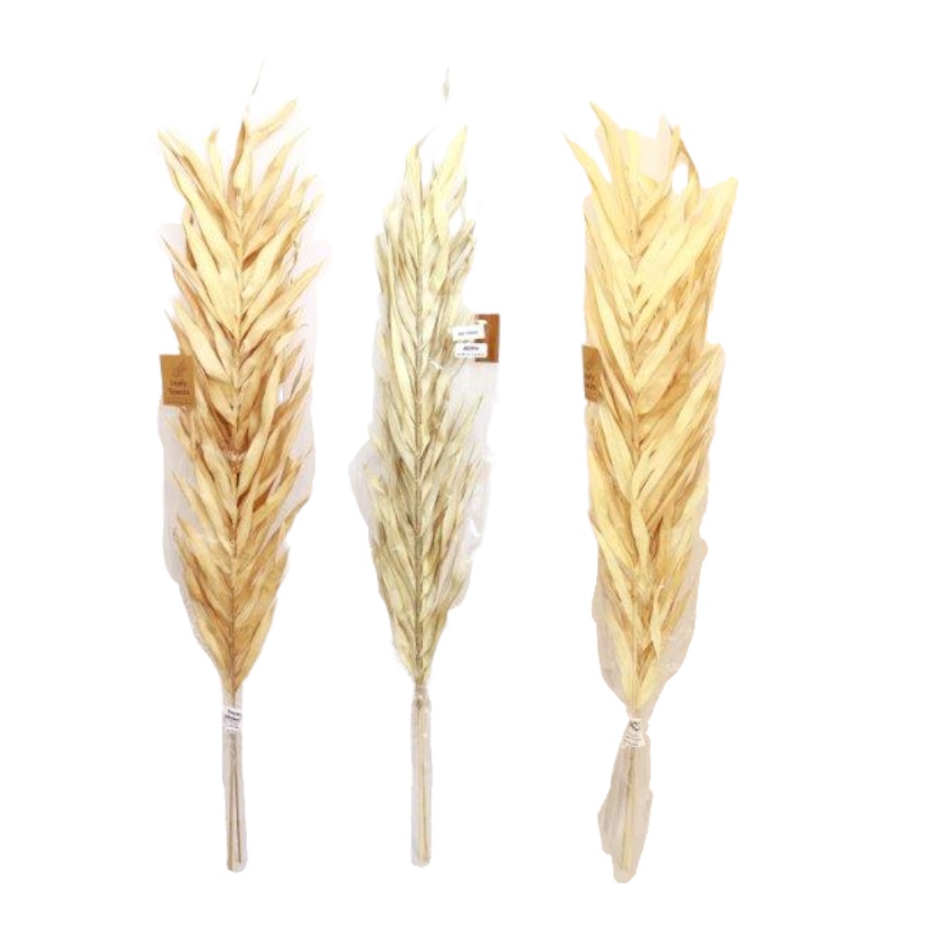 Ramas Naturales Secas 100Cm