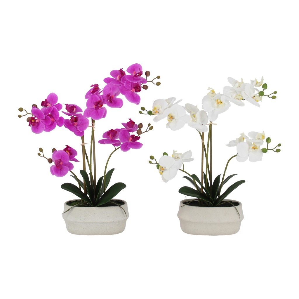 Orquideas En Pote-rt 55cm Surtida