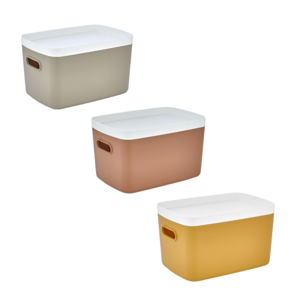 Caja Organizadora 17x24cm Surtido