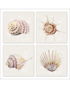 Cuadro De Lienzo De Elementos Marinos Surtidos 28X28X1.5Cm
