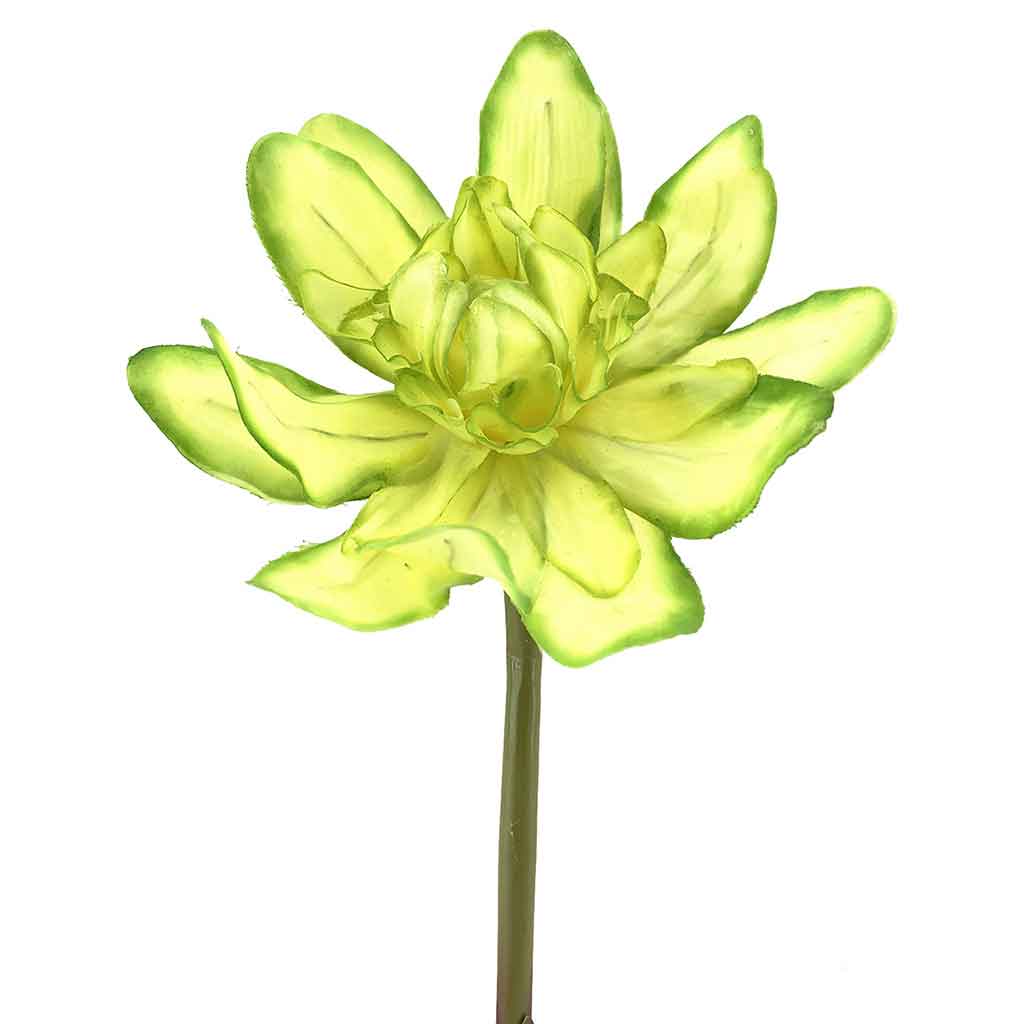 Flor artificial de magnolia tropical 50CM