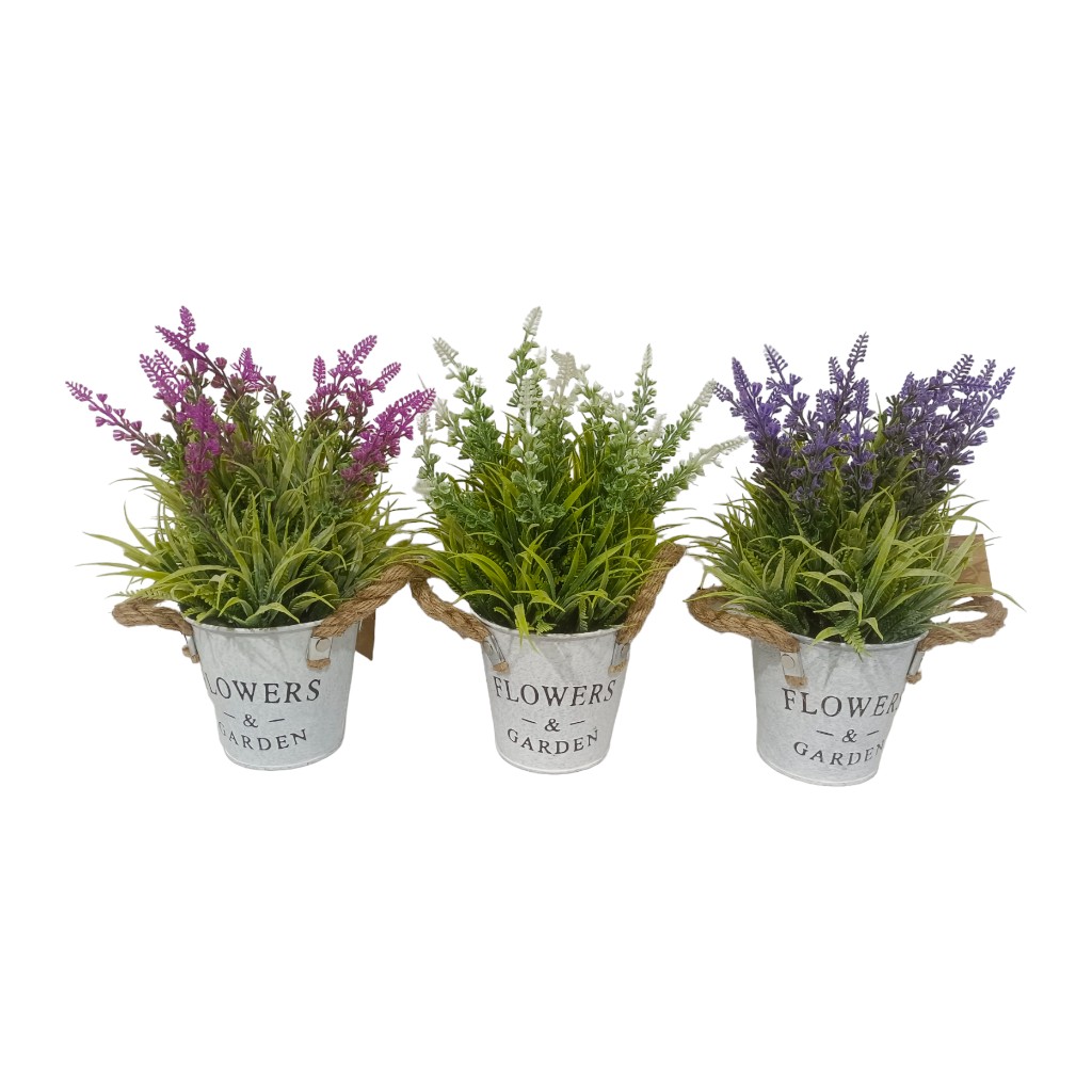 Lavanda En Pote 28cm - Surtidos