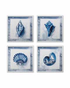 Cuadro De Conchas Marinas 40x40x2cm - Surtido