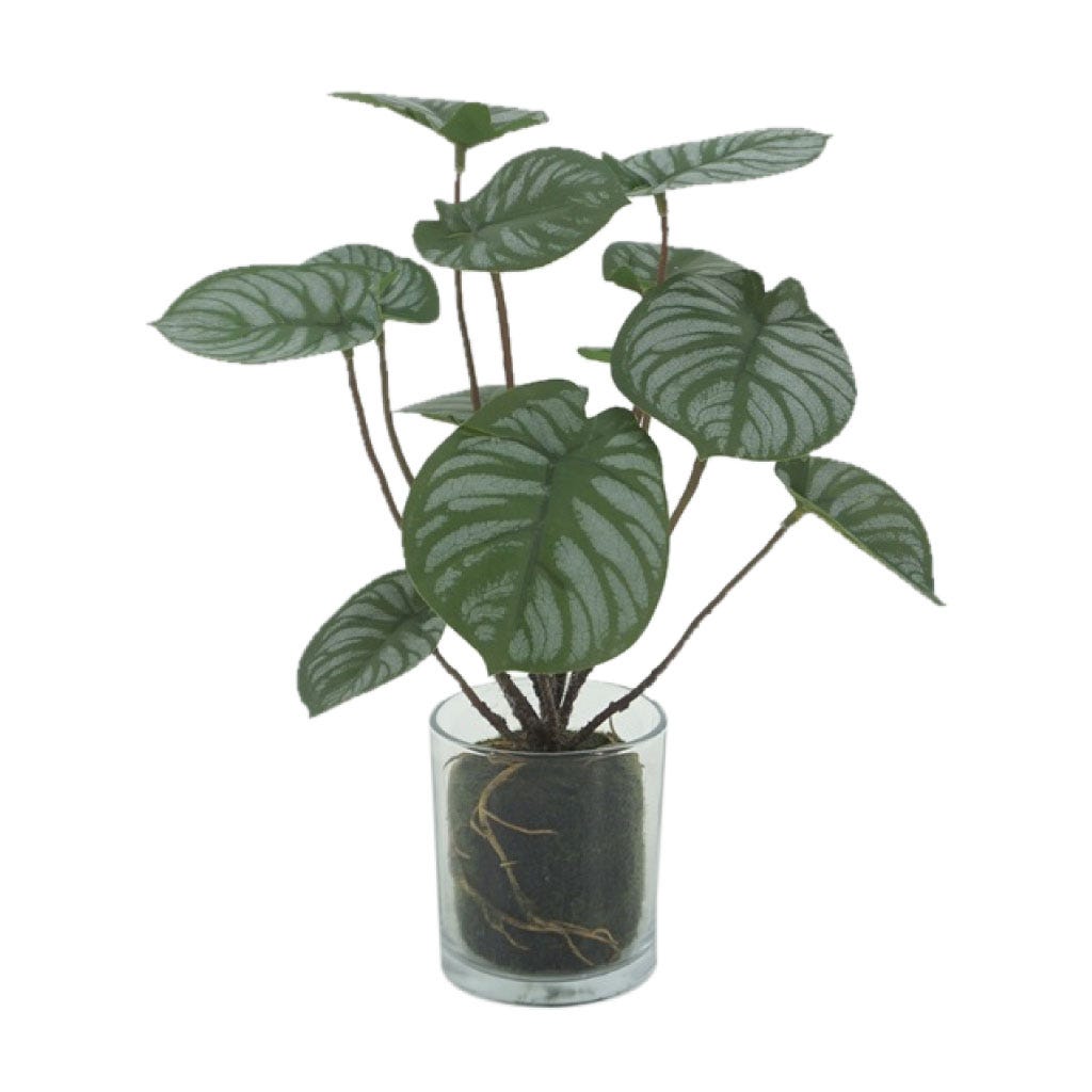  Planta artificial Saxifraga en botella de vidrio con diseños variados