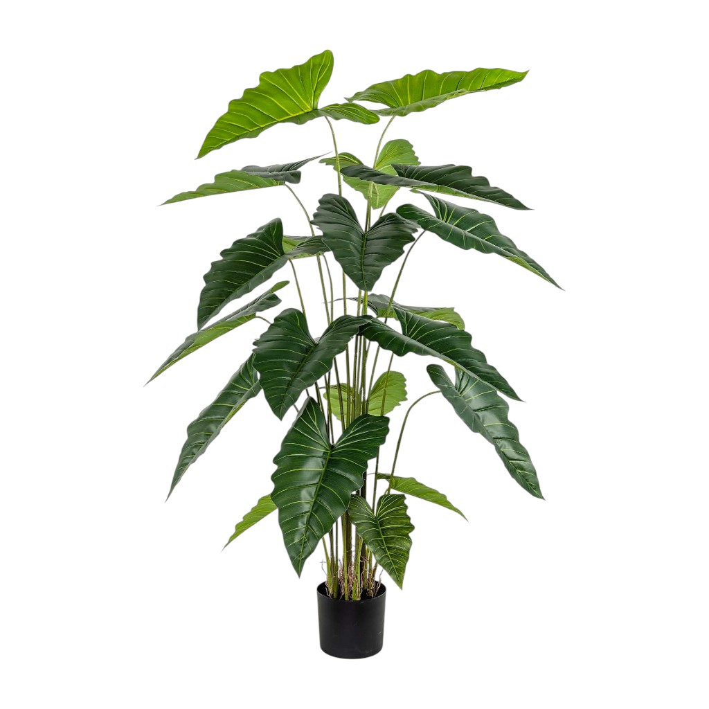 Planta Artificial Alocasia 6 Pies