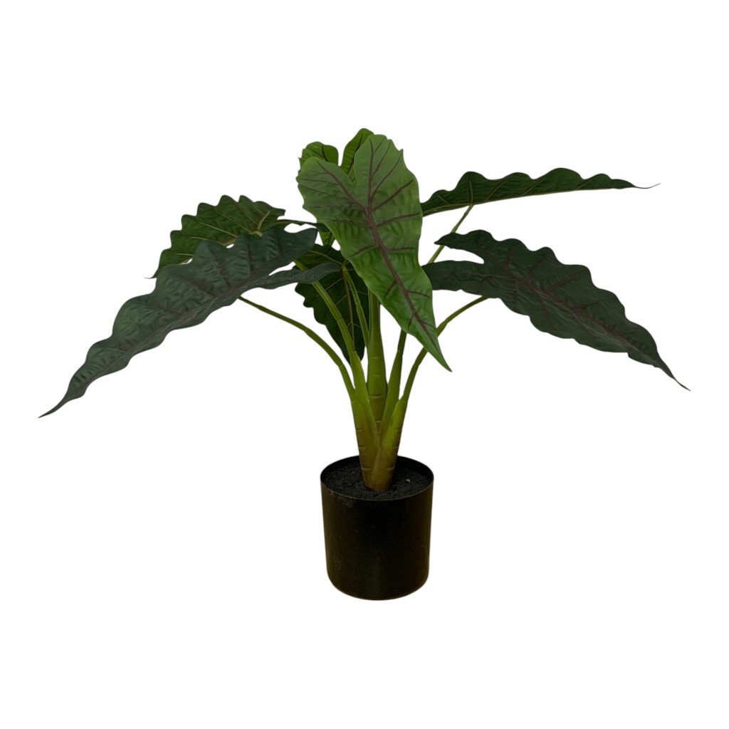 Planta Artificial Alocasia 50cm