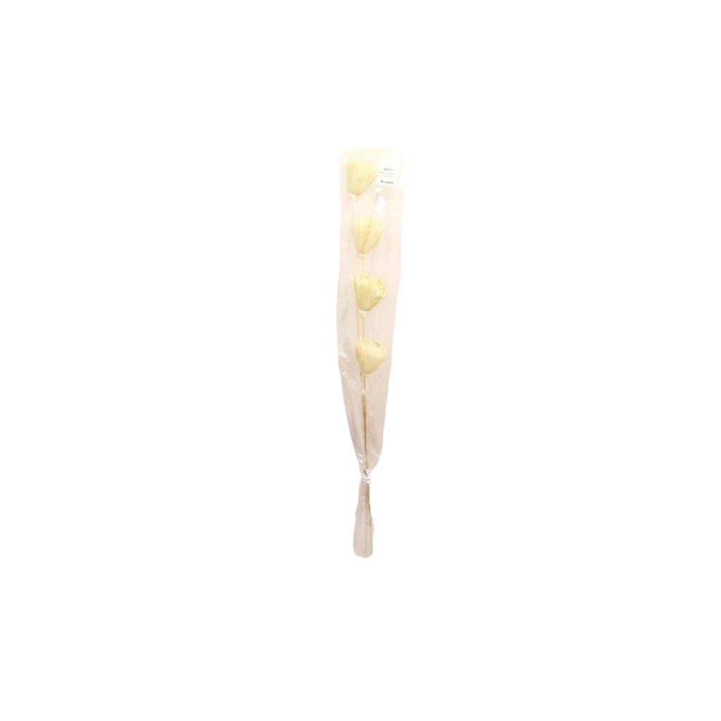 Ramas Naturales 100Cm
