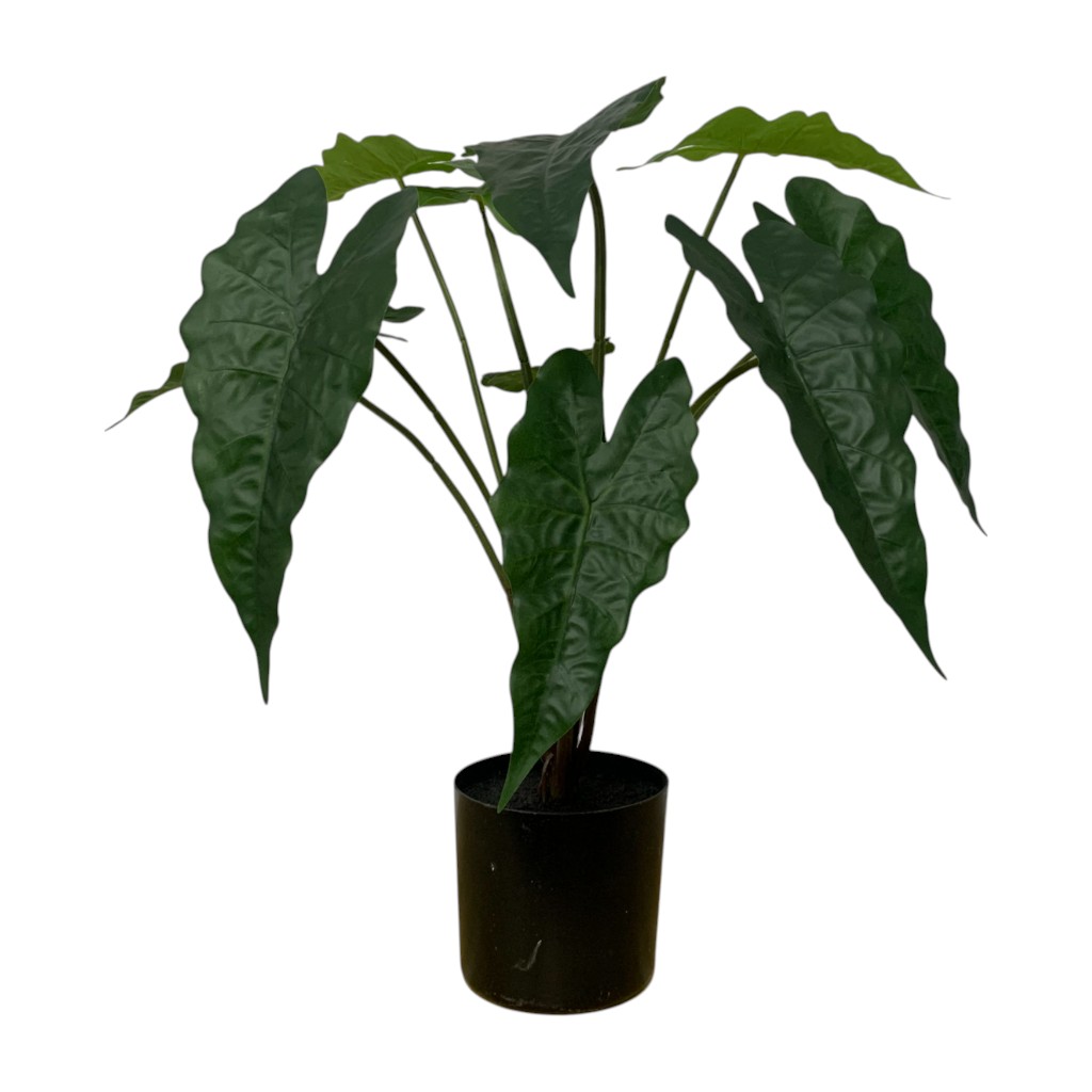 Planta Artificial Alocasia 60cm