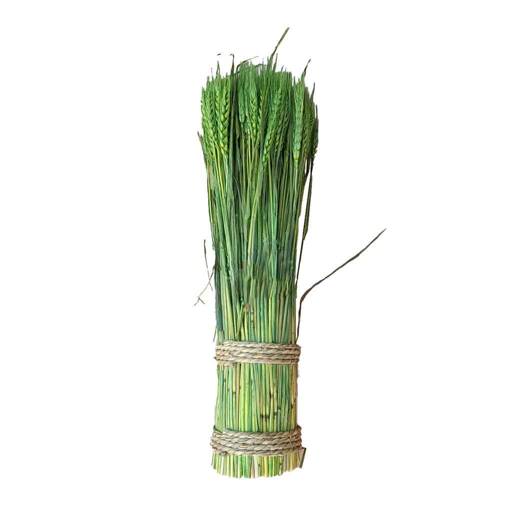 Ramo De Trigo De 300Gr
