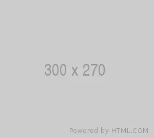 300x270 1
