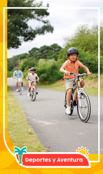 Descubre variedad de Bicicletas