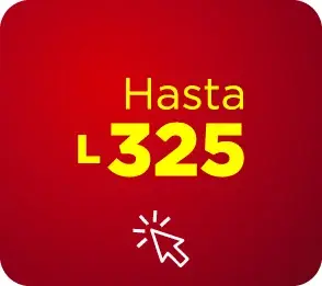 HASTA 325